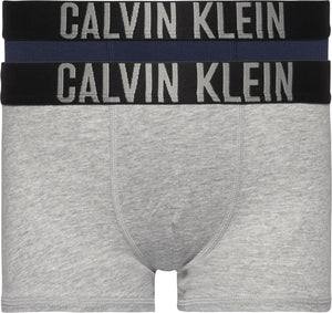 Calvin Klein 2 Packs Trunks Kids Grey Heather/Blue Shadow